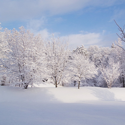 ゆうデンタル北仙台クリニック